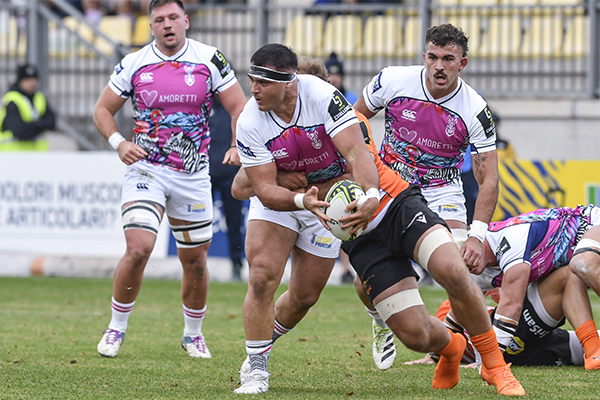 Challenge Cup Le Zebre Cadono In Casa Contro I Cheetahs Delinquenza Ovale News